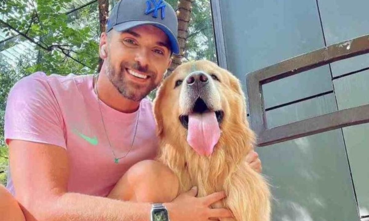 Após morte de cão em voo, Câmara aprova PL que obriga companhias aéreas a rastrearem pets – Política – CartaCapital
