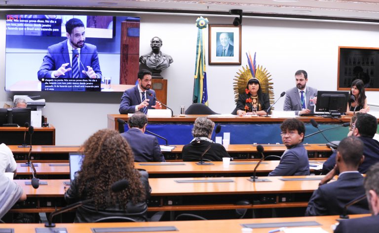 Seminário: O Parlamento Brasileiro e as Agendas Ambientais no G20. Representante do GT de Finanças Sustentáveis do G20, Ivan Oliveira. Dep. Célia Xakriabá (PSOL-MG)