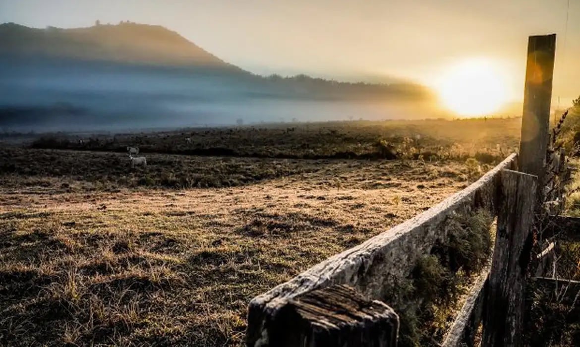 Cidades do Sul registram temperaturas negativas neste domingo – Política – CartaCapital