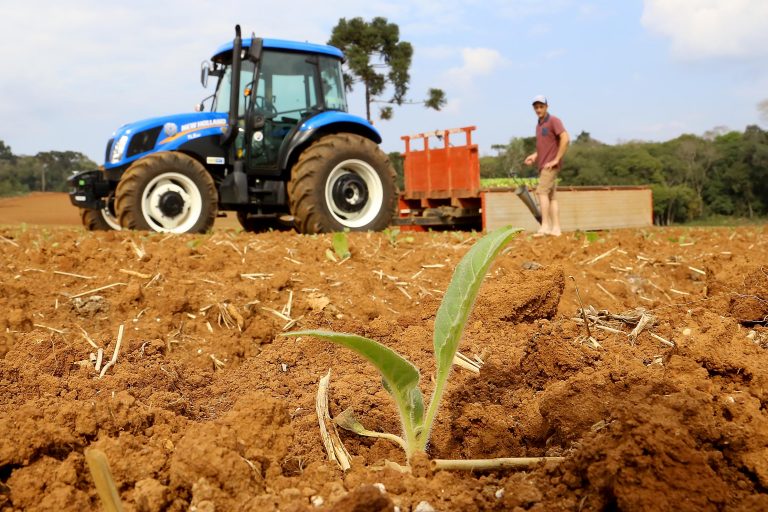 Agropecuária - plantações- agricultores produtores fumo trator