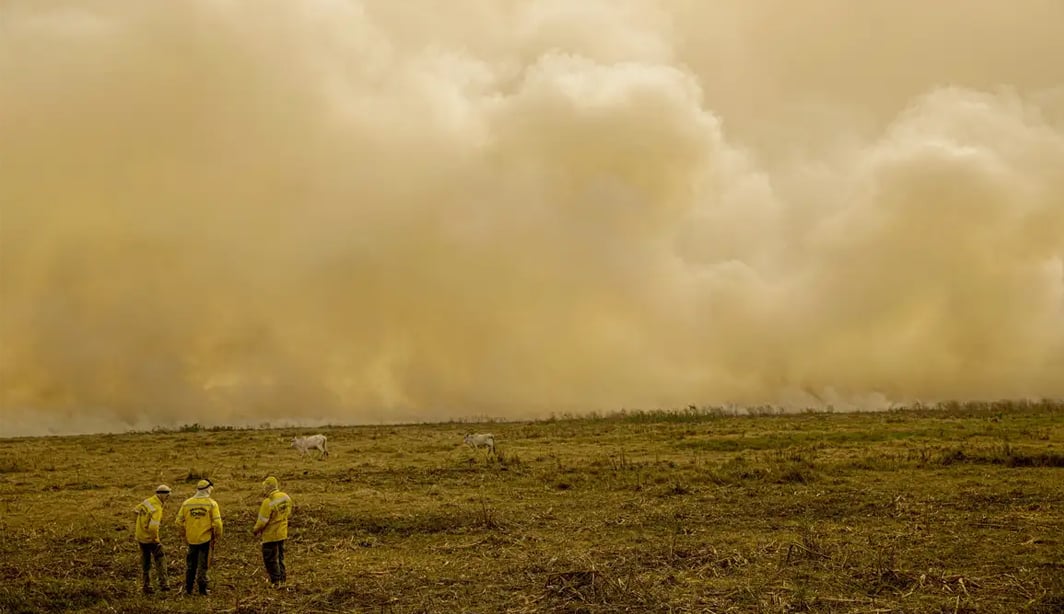 Queimada no Pantanal continua mesmo após a proibição de manejo do fogo – Sustentabilidade – CartaCapital