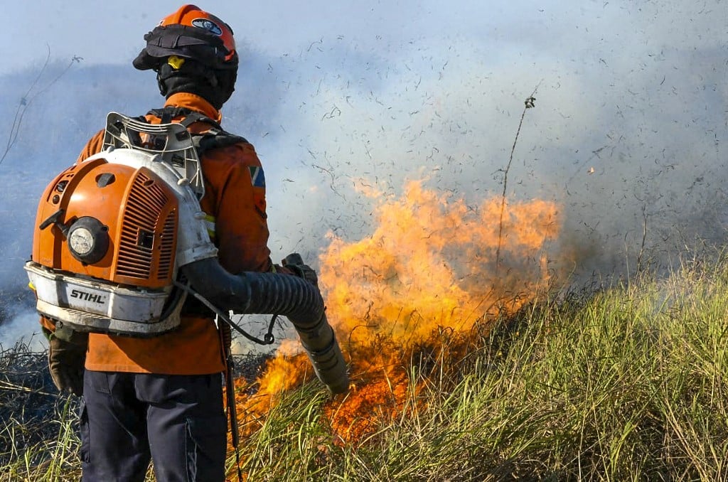 Situação no Pantanal é das piores já vistas, diz Marina; governo discute aumentar recursos – Sustentabilidade – CartaCapital