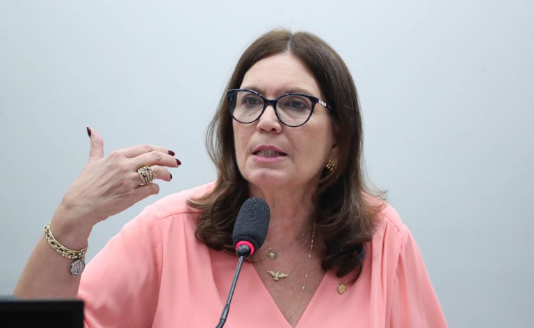 Deputada Bia Kicis em reunião de comissão