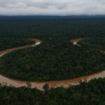 Irlanda anuncia sua primeira doação ao Fundo Amazônia, de R$ 91 milhões – Sustentabilidade – CartaCapital