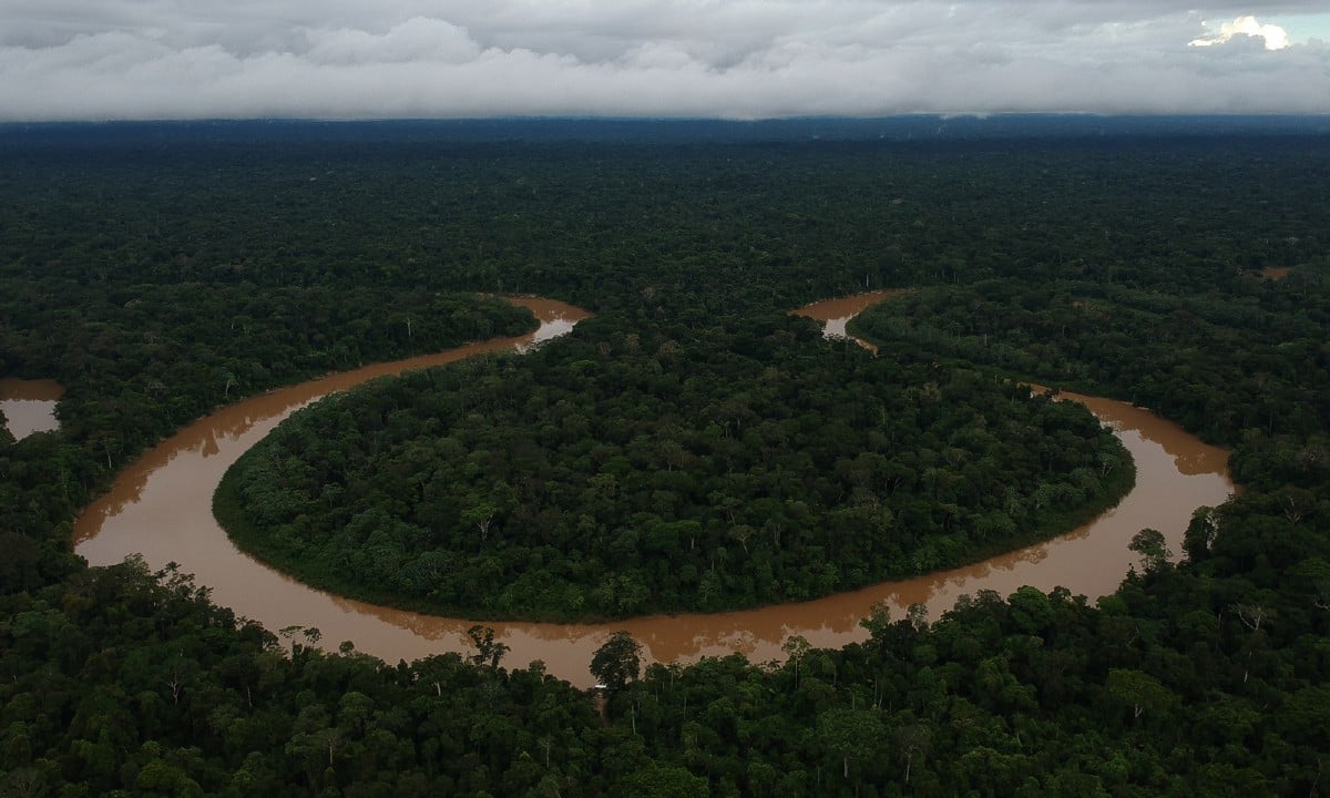 EUA anunciam nova doação de US$ 47 milhões para o Fundo Amazônia – CartaExpressa – CartaCapital