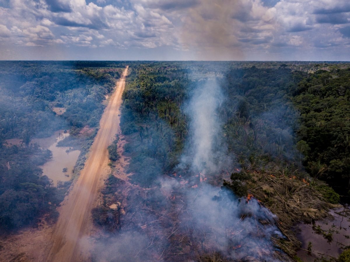 Justiça derruba licença prévia para o asfaltamento da BR-319 emitida sob Bolsonaro – Sustentabilidade – CartaCapital