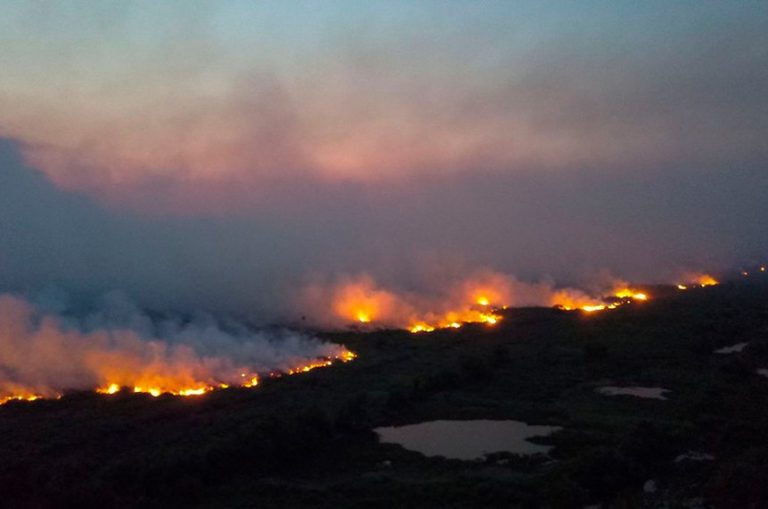 Medida provisória facilita contratar tripulantes estrangeiros para combate a incêndios no Pantanal - Notícias