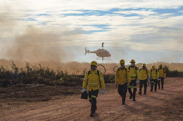 Medida provisória reduz intervalo para recontratação de pessoal para combate a incêndios - Notícias