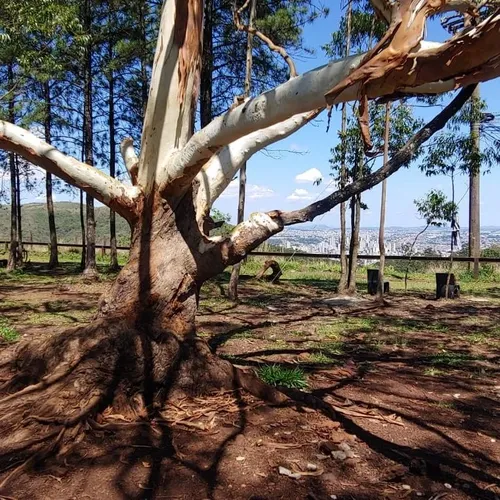 Moradores denunciam exclusão em processo de criação do Parque