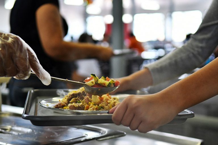 Nova lei regulamenta profissão de técnico em nutrição e dietética - Notícias