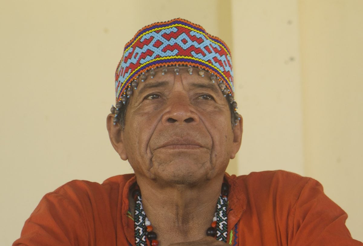 Xamãs temem a extinção da ayahuasca na Amazônia peruana – Psicodelicamente – CartaCapital