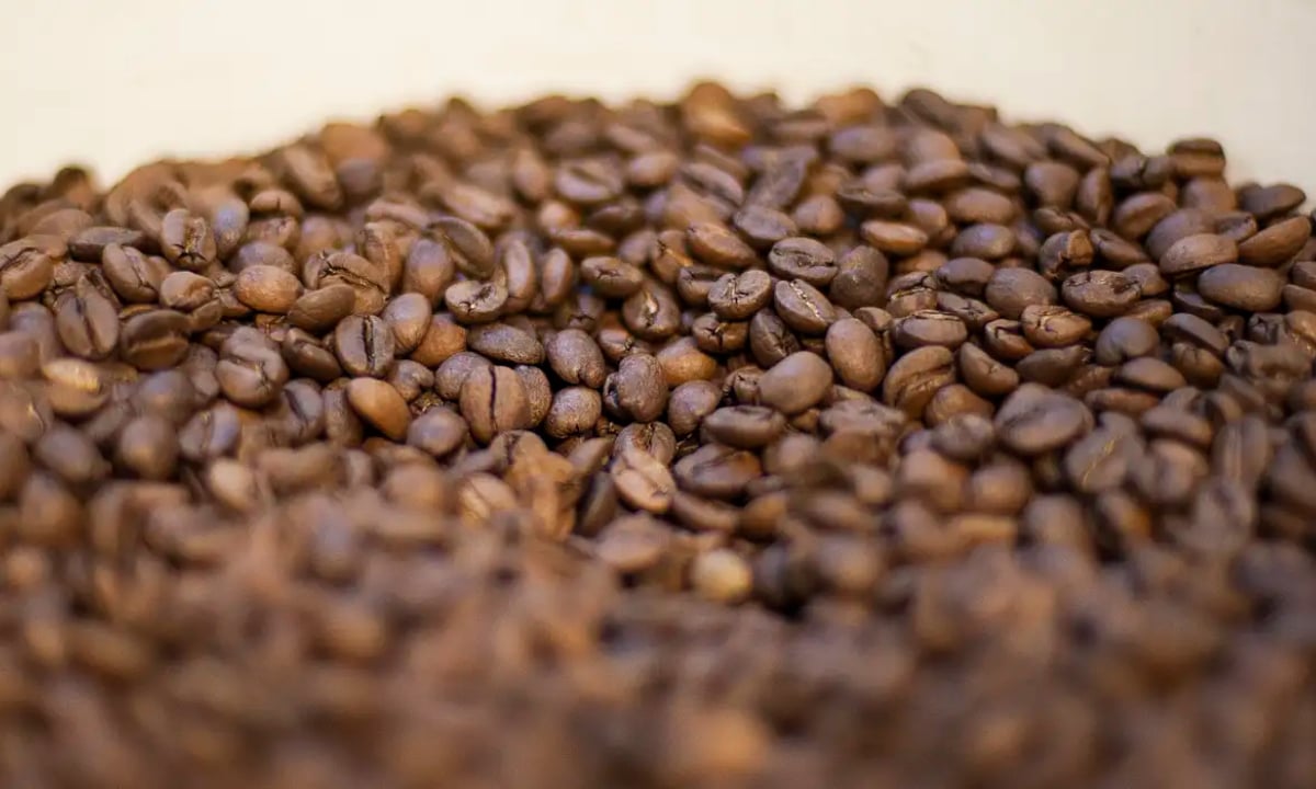 Agricultura manda recolher 16 marcas de cafés impróprios para consumo – Política – CartaCapital