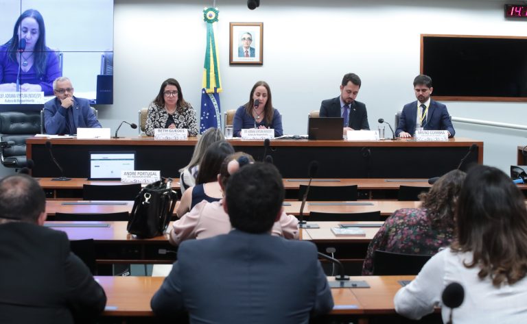 Audiência Pública - Debater a portaria MEC nº 528 de junho de 2024 - Estabelece novos referenciais de qualidade e marco regulatório para oferta de cursos de graduação à distância