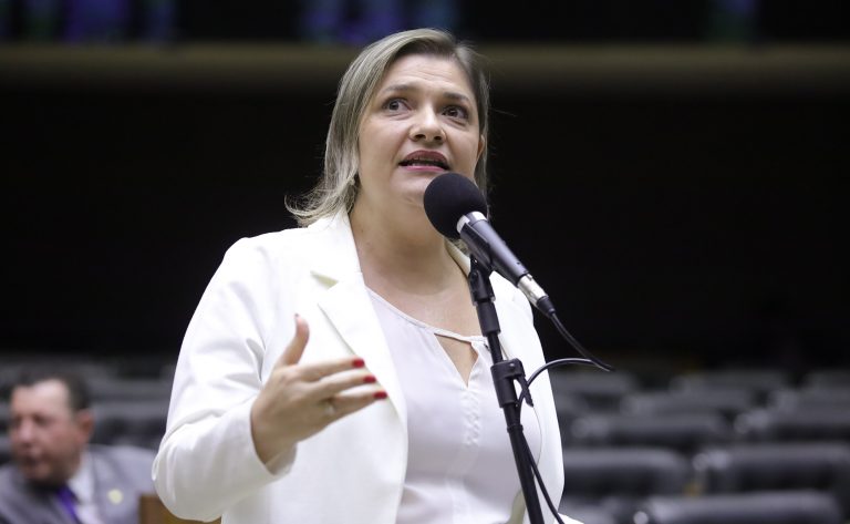 Discussão e votação de propostas. Dep. Professora Luciene Cavalcante (PSOL-SP)