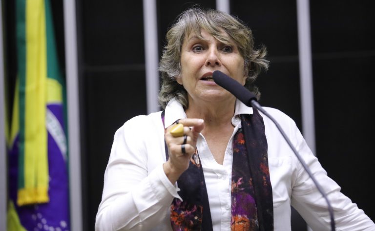 Discussão e votação de propostas. Dep. Erika Kokay (PT-DF)