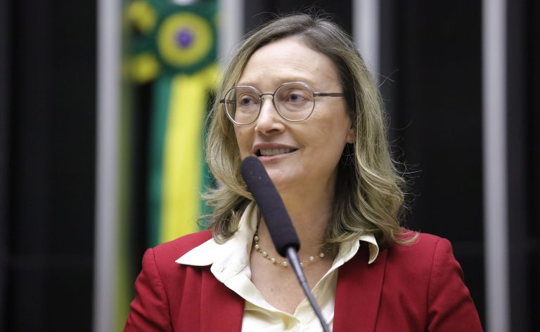 Discussão e votação de propostas. Dep. Maria do Rosário (PT - RS)