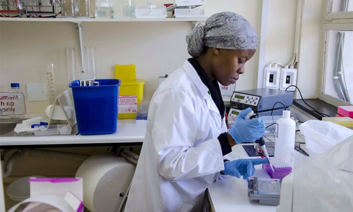 Surto de mpox na África preocupa OMS – Saúde – CartaCapital