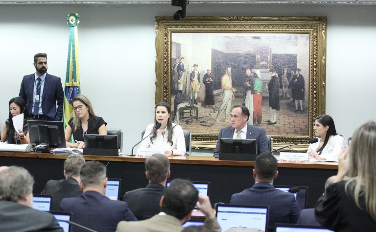 Discussão e votação de propostas legislativas.Dep. Caroline de Toni (PL - SC). Dep. Reinhold Stephanes(PSD - PR). Dep. Chris Tonietto (PL - RJ).