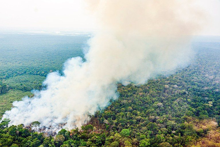 Vista aérea de uma floresta pegando fogo