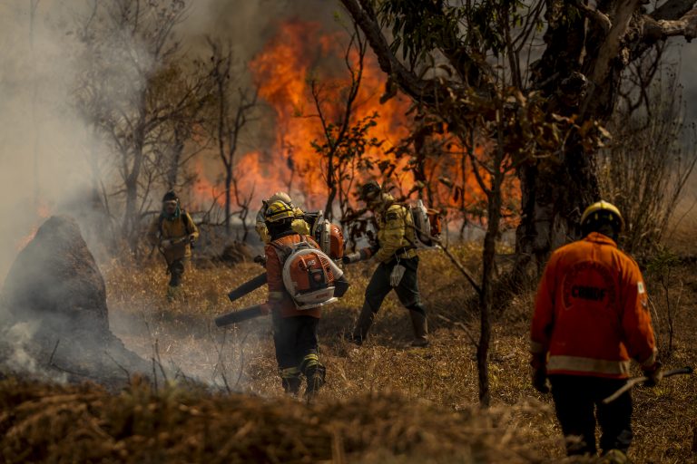 Brigadistas combatem incêndio em área de cerrado