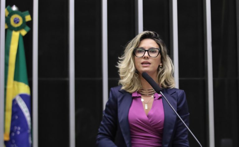 Discussão e votação de propostas. Dep. Loreny (SOLIDARIEDADE-SP)