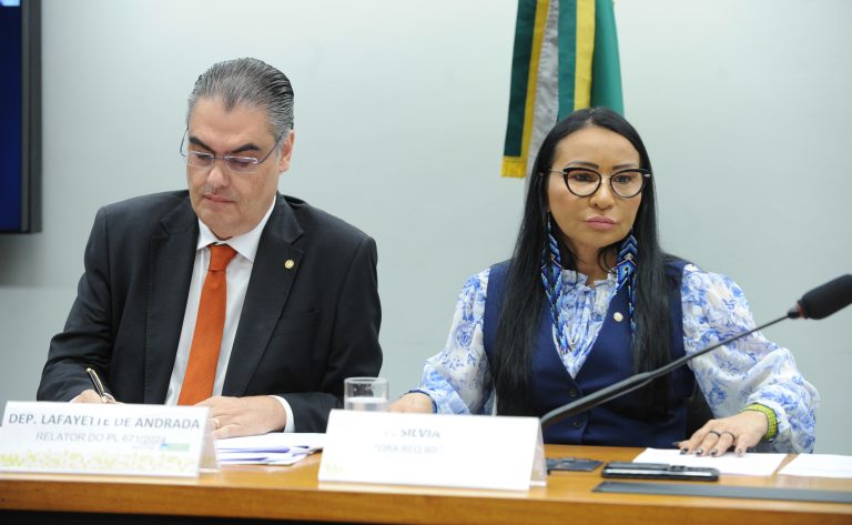Audiência Pública - <a class=