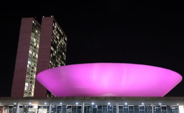 Coquetel e foto especial diante do Congresso iluminado com as cores da Campanha Outubro Rosa