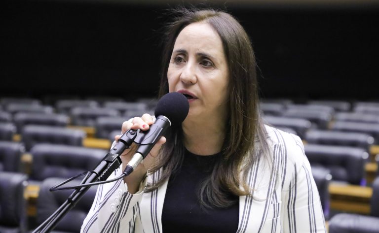 Deputada Adriana Ventura fala ao microfone