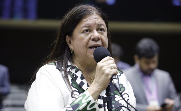 Deputada Laura Carneiro fala ao microfone