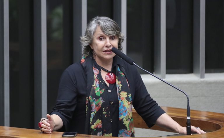 Deputada Erika Kokay (PT-DF) fala no Plenário da Câmara dos Deputados