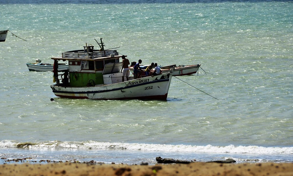 Comissão da Câmara aprova concessão de seguro-desemprego a pescador artesanal durante secas e enchentes – Política – CartaCapital