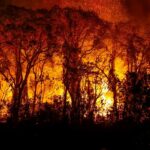 Dino homologa planos do governo para combate a incêndios no Pantanal e na Amazônia, mas pede ajustes – Política – CartaCapital