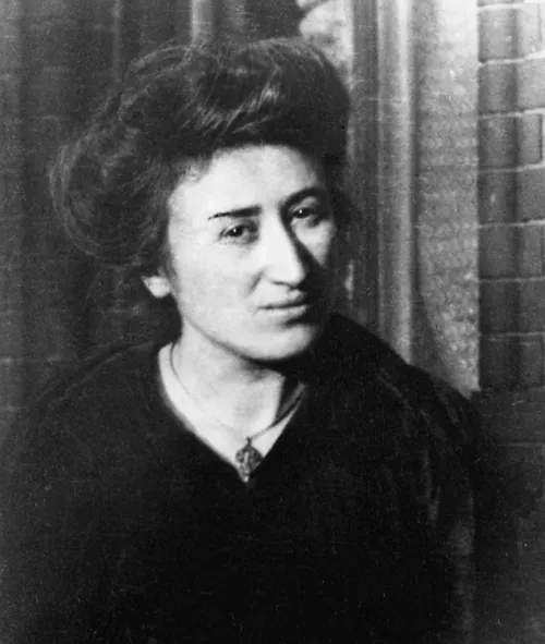 Crítica de Rosa Luxemburgo à social-democracia se