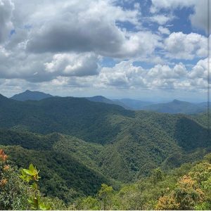 Lei altera limites do Parque Nacional da Serra do Itajaí, em Santa Catarina - Notícias