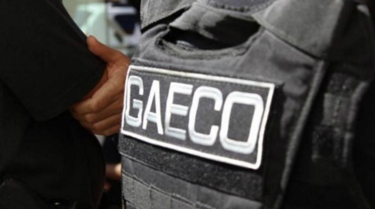 Operação contra grupo responsável por anabolizantes clandestinos prende 14 pessoas – Sociedade – CartaCapital