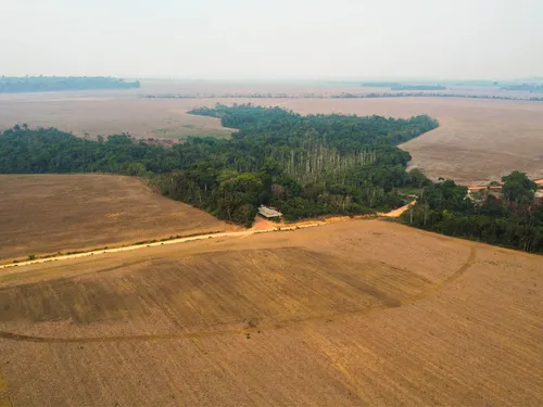 Uso intenso de agrotóxicos provoca crise silenciosa na saúde e