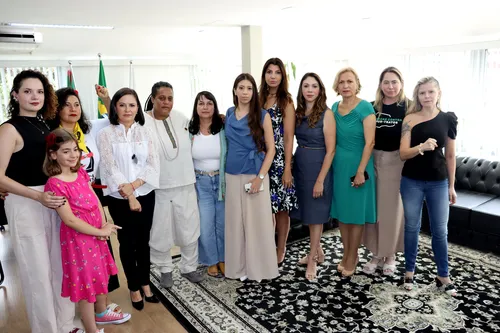 Violência política de gênero: cotidiano de mulheres que