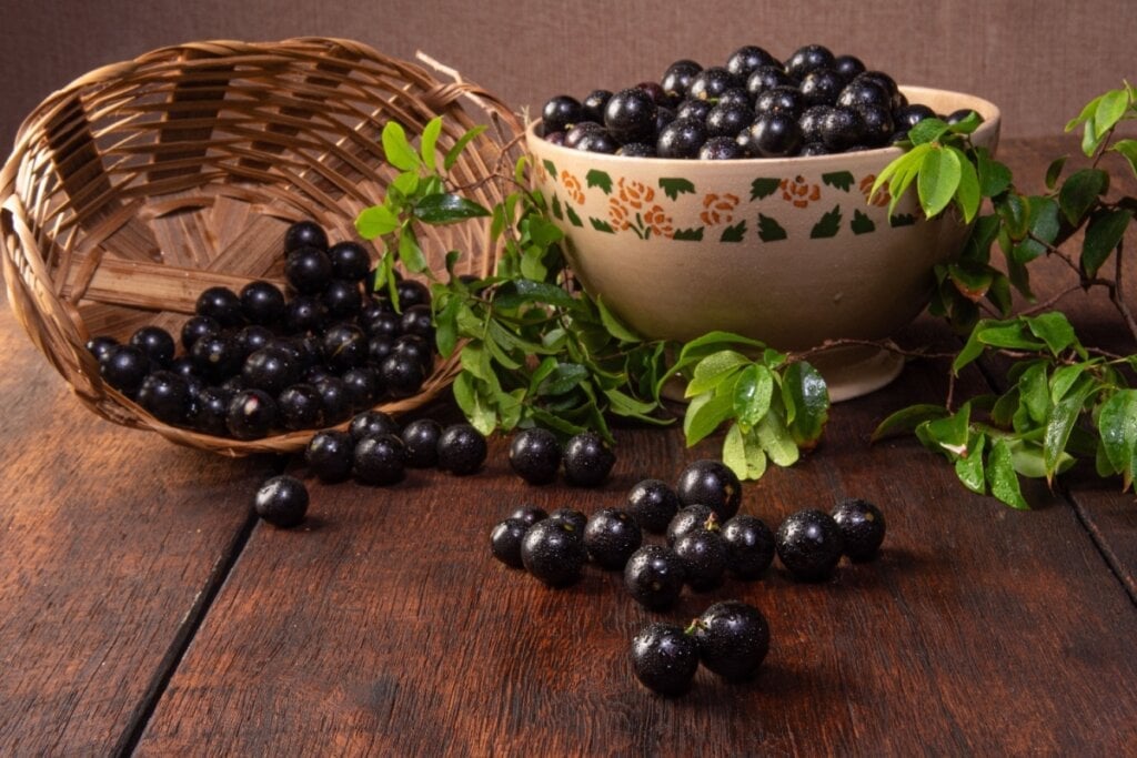 7 benefícios da jabuticaba para a saúde e como usá-la – CartaCapital