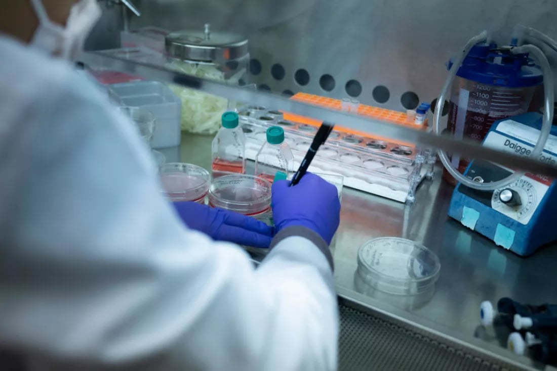 Agência federal dos EUA anuncia corte drástico para pesquisa médica – Mundo – CartaCapital