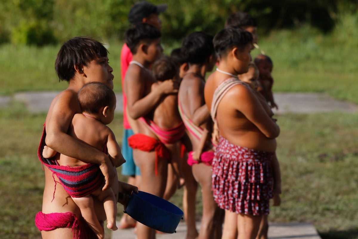 Barroso manda o governo Lula explicar casos de malária na TI Yanomami – Saúde – CartaCapital