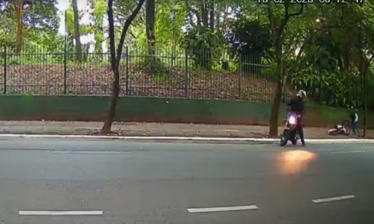 Polícia prende mulher suspeita de chefiar quadrilha responsável pela morte de ciclista em parque de SP – Sociedade – CartaCapital