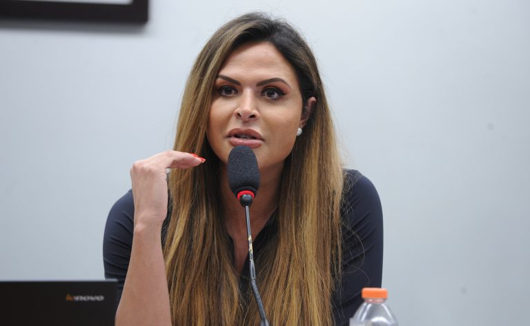 Deputada Silvye Alves (União-GO) fala em comissão da Câmara dos Deputados