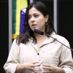 Revogação da Lei de Alienação Parental tem apoio de parlamentares de espectros políticos opostos – Notícias