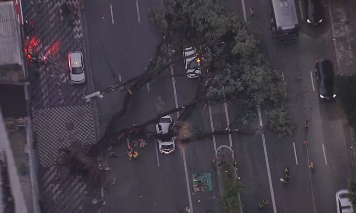 Taxista morre durante temporal em São Paulo; mais de 100 mil ficam sem luz – Sociedade – CartaCapital