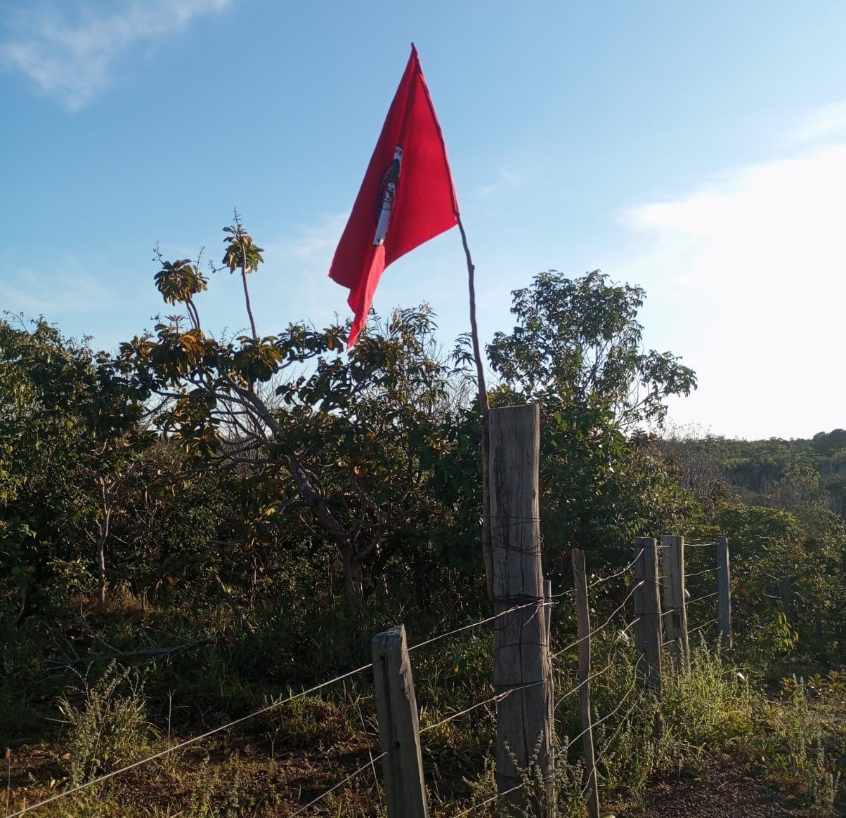 Área ocupada por soja cresceu 185 vezes em região de conflito agrário no Tocantins – Brasil de Fato