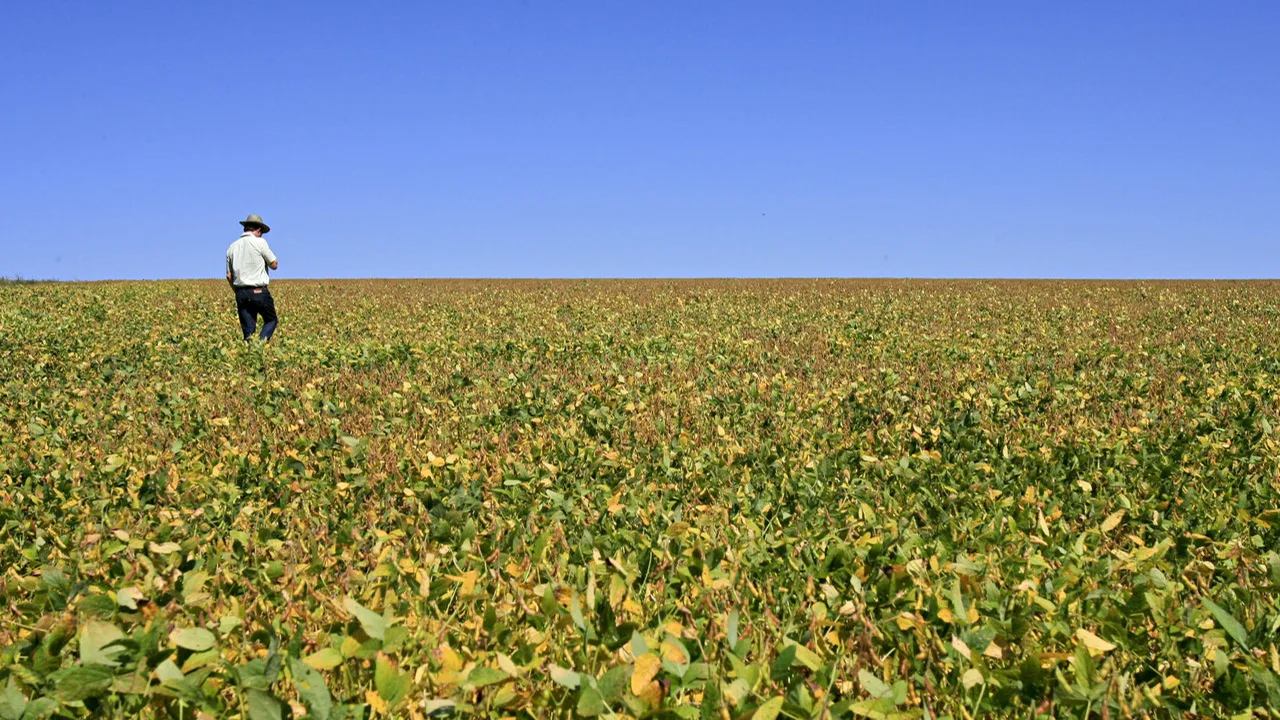 Pedidos de recuperação judicial no agronegócio mais que dobraram