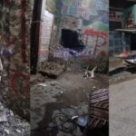 PM é baleado durante retirada de barricada do CV na Santa Mônica