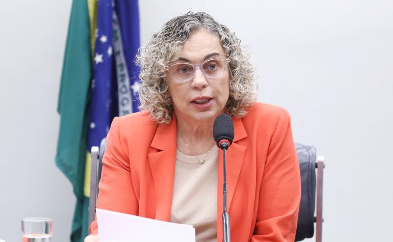 Audiência Pública - Reforma do modelo obstétrico brasileiro. Dep. Ana Paula Lima (PT - SC)