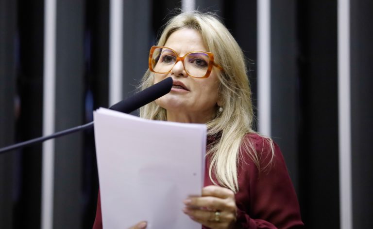 Deputada Flávia Morais (PDT-GO) fala no Plenário da Câmara dos Deputados