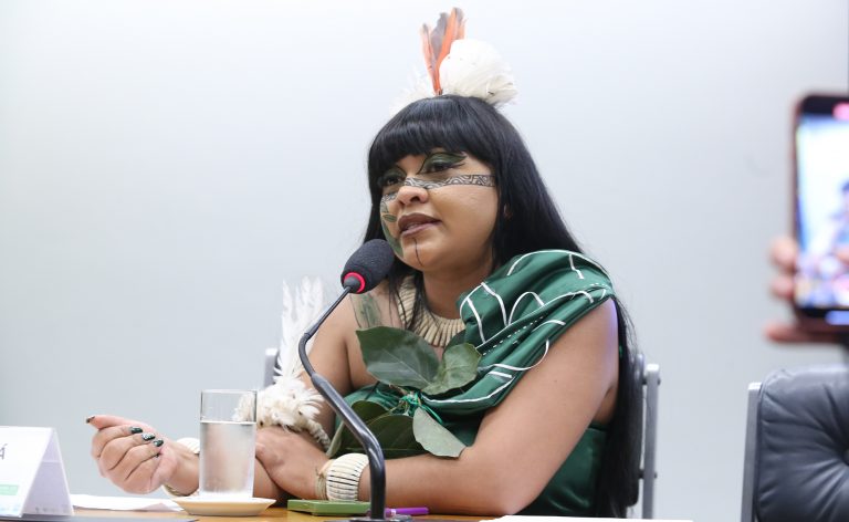 Audiência Pública - Impactos do setor de energias em terras indígenas. Dep. Célia Xakriabá (PSOL - MG)
